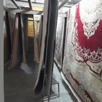 قالیشویی نیلوفر دورود