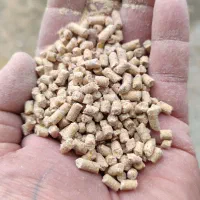 ۱۰تن  دونه ی  مرغ تخمگذار و زنده دان مرغ دون گوشتی