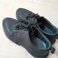 کتونی چرم|کیف، کفش، کمربند|رشت, معلولین|دیوار