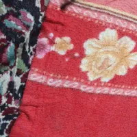 کسی هست گل محمدی هرس کنه