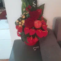 گل دست داماد