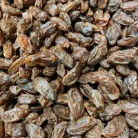 مویز رطبی و کشمش