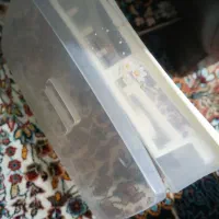 جا قیچی و نخی|لوازم خیاطی و بافتنی|بجنورد, |دیوار