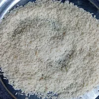 فروش بهنام کشت دوم|خوردنی و آشامیدنی|قائم‌شهر, |دیوار