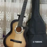 گیتار دیاموند