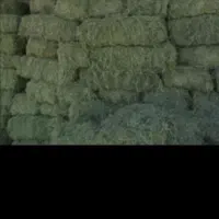 فروش یونجه وکاه درجه یک|لوازم جانبی حیوانات|شیراز, شهرک فرهنگیان|دیوار