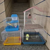 قفس خرگوش، خوکچه، پرنده، همستر با وسایل بازی