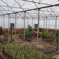 خرید و فروش گلخانه|خدمات پیشه و مهارت|شهرضا, |دیوار