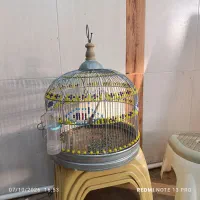 قفس پرنده