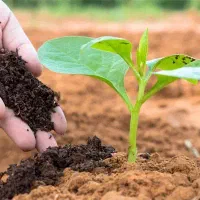 جذب نیروی بازاریاب