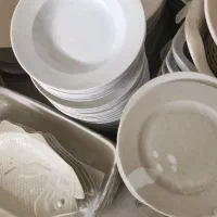 بشقاب حراجی