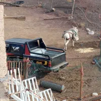 نیسان کمک اتومات|خودرو سواری و وانت|قنوات, |دیوار