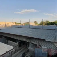 گاوداری با سوئیت ویلایی