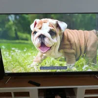 خرید وفروش خریدار ال ای دی۳۲ ۴۰ ۴۲ ۴۳ ۴۹ ۵۰ ۵۵