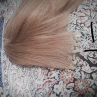 کلاه گیس 2 مدل پوستیژ مو بلند و خوشرنگ فقط 750|فعالیت داوطلبانه|کرج, حیدرآباد|دیوار