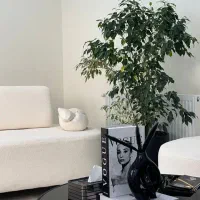 تخفیفات لاغری تضمینی