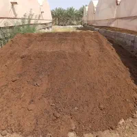 فروش کود گوسفند و گاو خاور  هشت تن|خدمات باغبانی و درختکاری|رودان, |دیوار