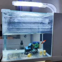 آکواریوم کامل دلسا