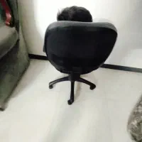 صندلی اداری و صندلی ماشین