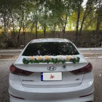 اجاره ماشین عروس النترا