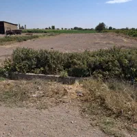 زمین مسکونی