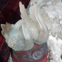 فروش جاماکا با قوی عاشق