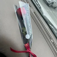 تک شاخه طبیعی روز دختر با قیمت باورنکردنی