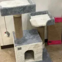 اسکرچر گربه جای خواب گربه .پت