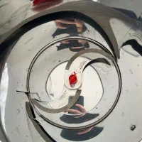 سبزی خرد کن