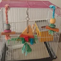 قفس پرنده با لوازم