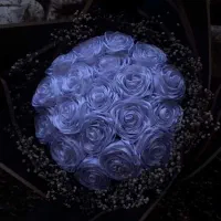 گل رز روبانی