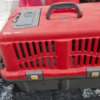 سگ. گربه. خرگوش