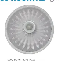 انواع چراغ سنسوردار|لامپ و چراغ|تهران, جوادیه تهرانپارس|دیوار