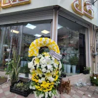 نیروی کار اقا برای گلفروشی