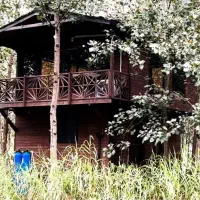 ویلاهایی در دل جنگل|فروش خانه و ویلا|بانه, |دیوار