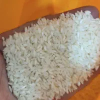 برنج ایرانی/عنبربو/کامفیروز