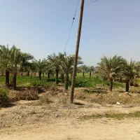 زمین-کشاورزی