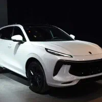 حواله لاماری ایما