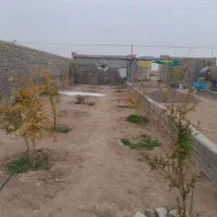 باغچه|فروش زمین و ملک کلنگی|قم, ولیعصر|دیوار