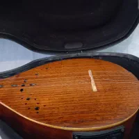 هاردکیس فایبرگلاس سه تار|سازهای سنتی|تهران, تهرانپارس شرقی|دیوار