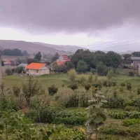 فوری می‌فروشم، نقدی پرداخت کنید.