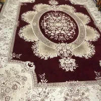 فرش ۱۲متری|فرش|ساری, |دیوار