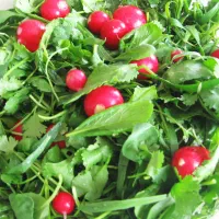 سبزی سرای میزبان (سبزی فروشی )