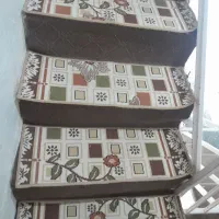 پادری دونه ای ۵۰