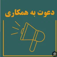 سرمایه‌گذار