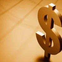 نیازمند سرمایه گذار