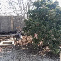 فروش باغ و باغچه در فاروق