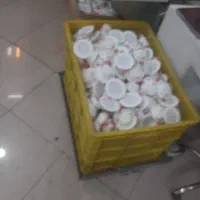 هالوژن یک لایت