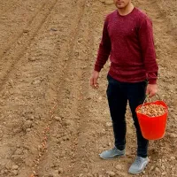 فروش بذر شفتالو و بادام و...جهت احداث نهالستان|خدمات باغبانی و درختکاری|پارس‌آباد, |دیوار