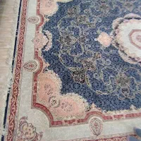 فرش۹متری ساوین|فرش|فومن, |دیوار